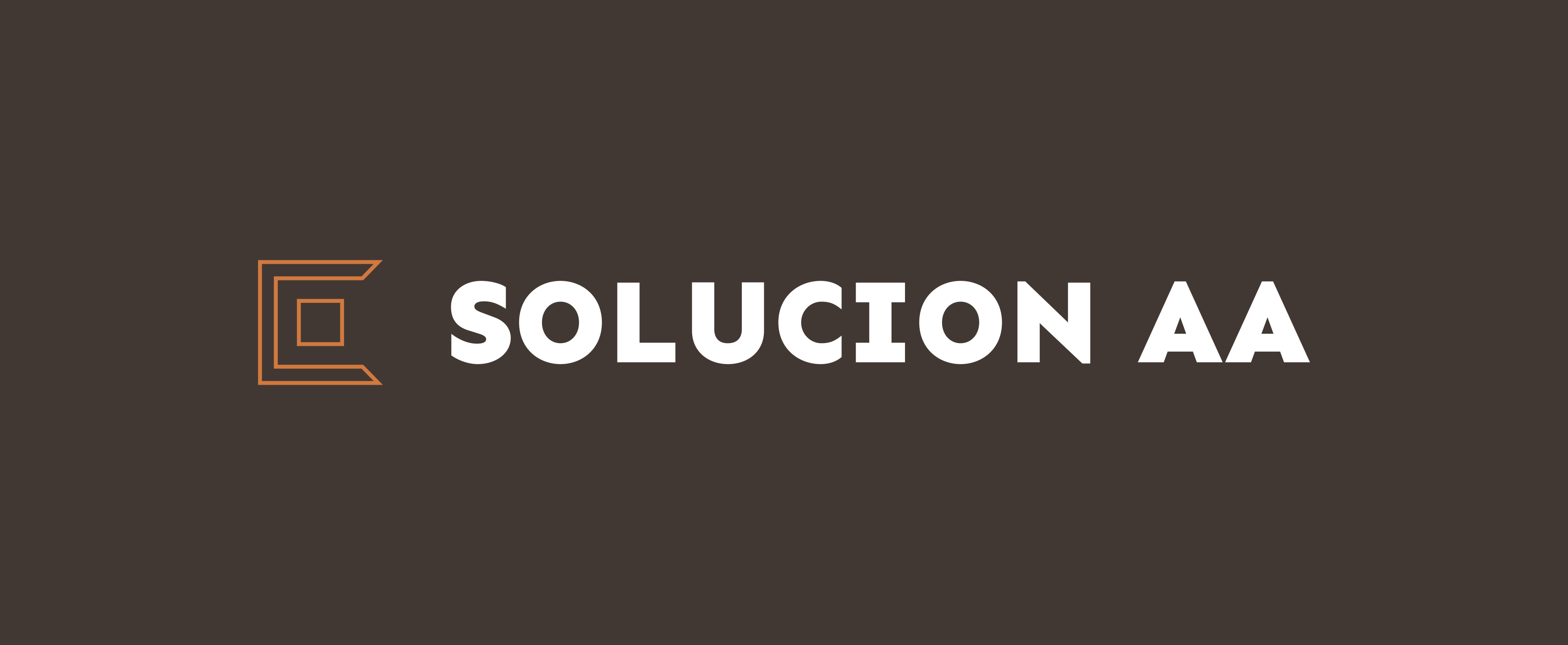 SOLUCION AA LLC